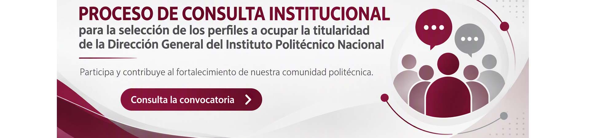 Proceso de consulta institucional