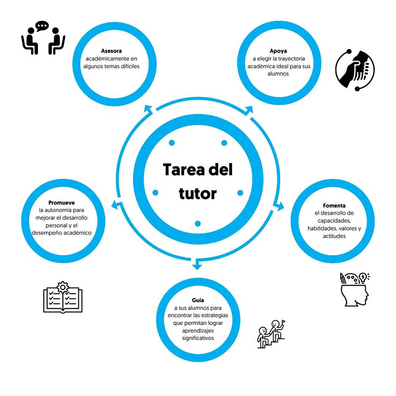 Actividades de un tutor