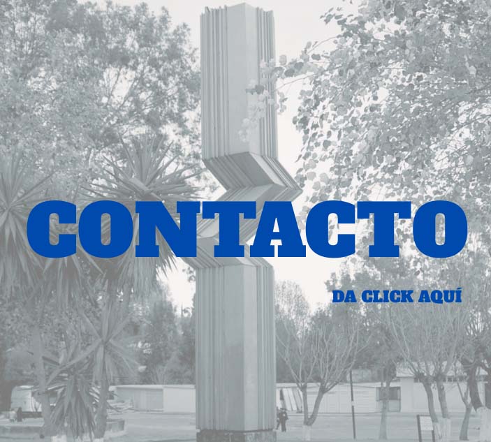 Datos de contacto